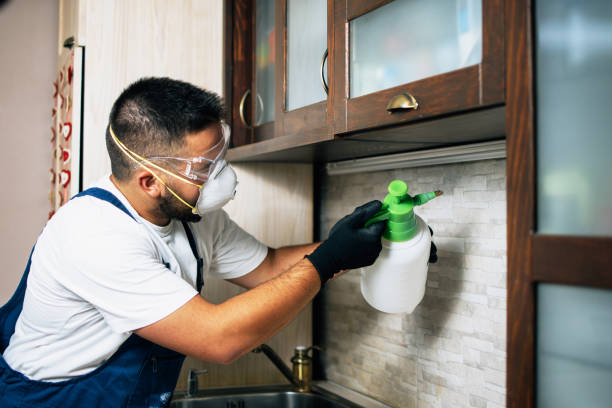 West Hollywood, CA Pest Control Company